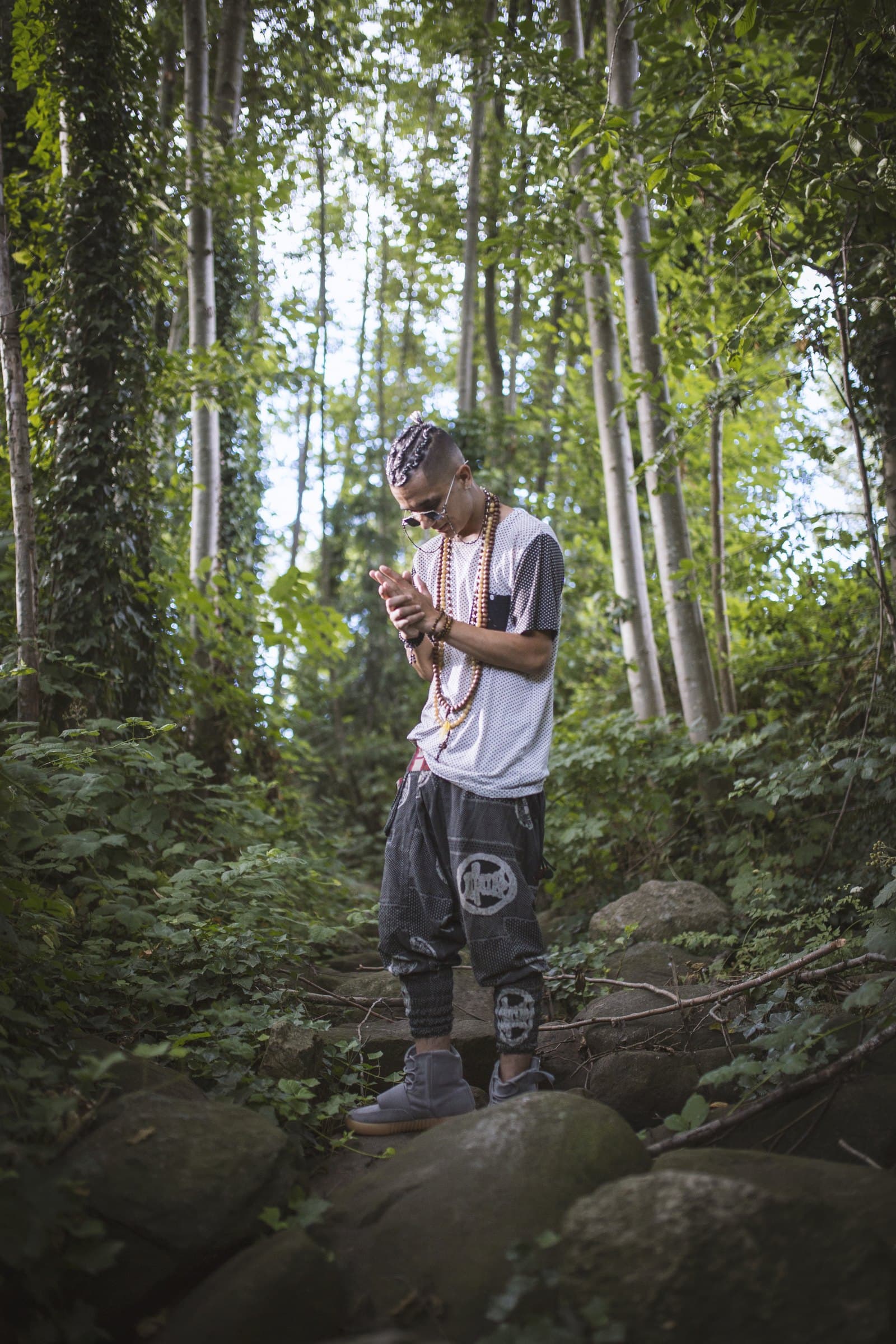 Bdice standing in a forest