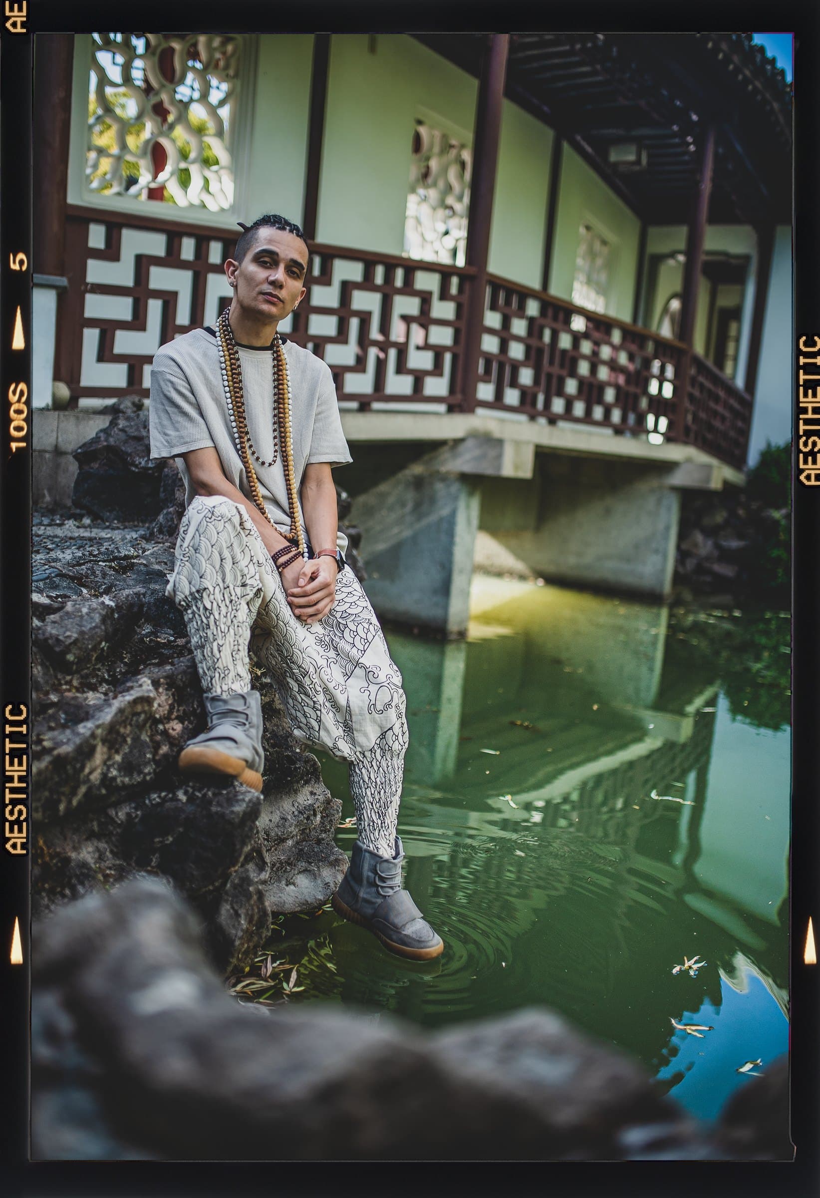 Bdice sitting on rocks by a garden pond, on film