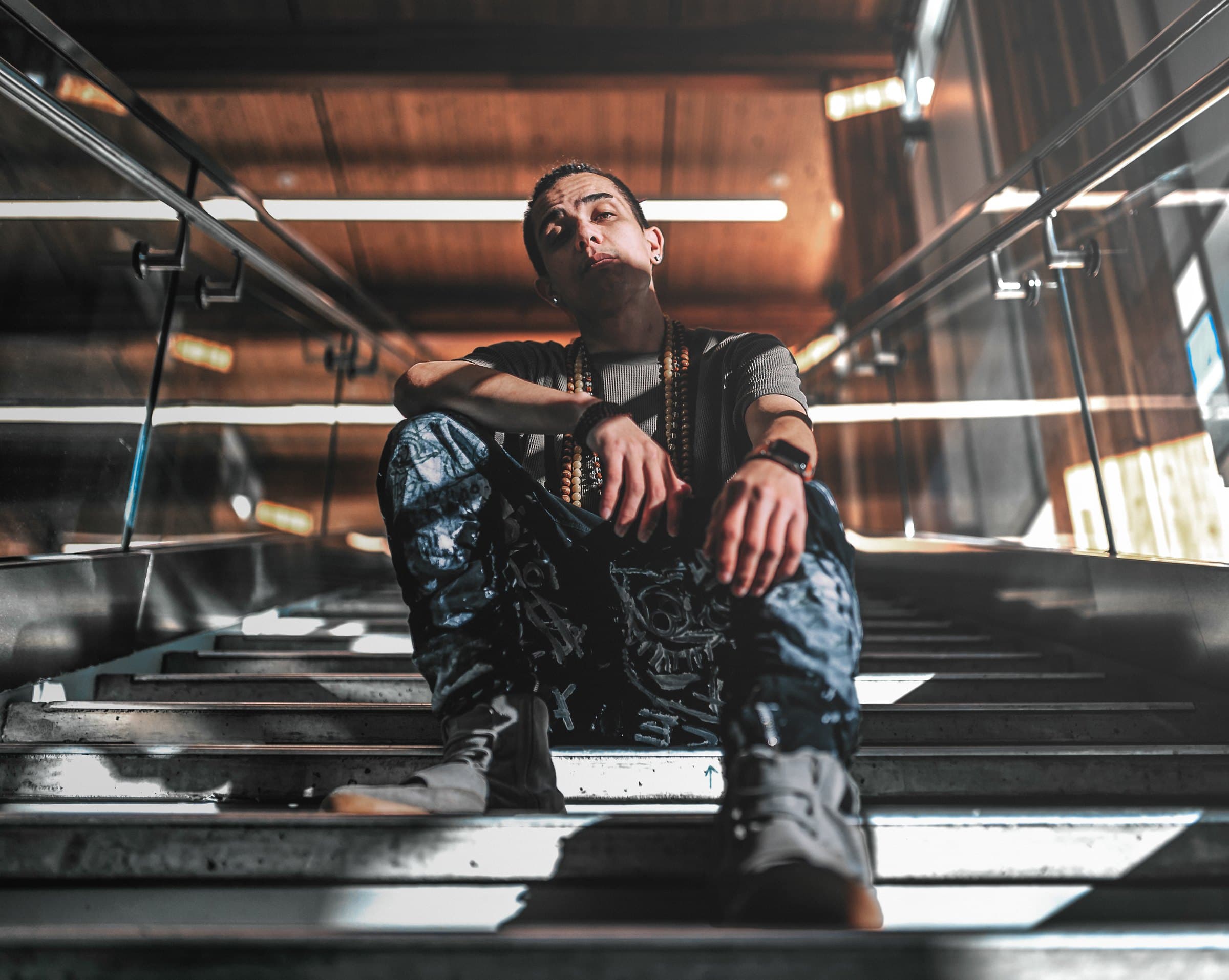 Bdice sitting on a staircase